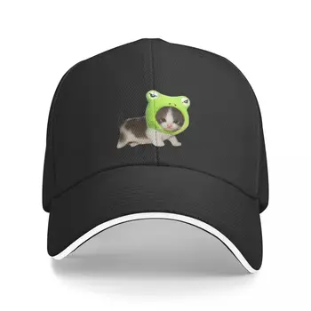 Новая бейсбольная кепка cat with froggie hat, роскошные брендовые головные уборы In The Hat для женщин и мужчин Изображение